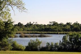 clean lake in a park in texas