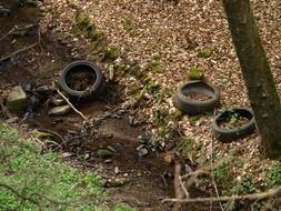car tires in the woods among the colorful leaves