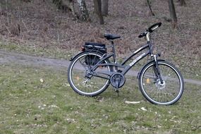 bike stands in a clearing in the forest