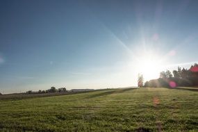 green meadow illuminated by the sun