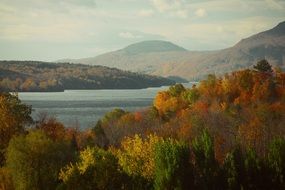 autumn forest by the lake