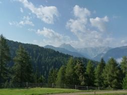 wooden fence at the foot of the mountains of South Tyrol