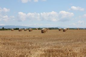 Landscape with the haystacks in summer