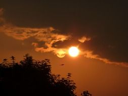 incredible evening sky