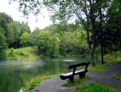 wooden bench near the picturesque pond