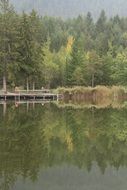 Mirroring in the water