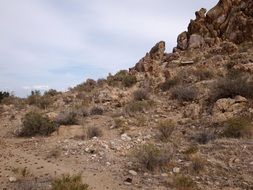 landscape of rocky mountains in the desert