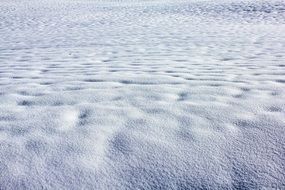 snowy field in winter's day