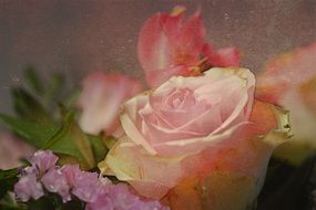 Wonderful bouquet flowers rose