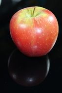 healthy red apple fruit