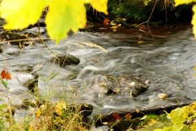great brook river at fall, usa, new york