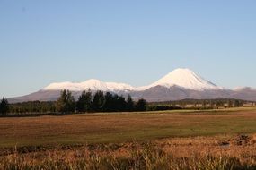 distant view of snow mountain in new zealand