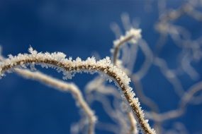 ice winter frost on a blurred background