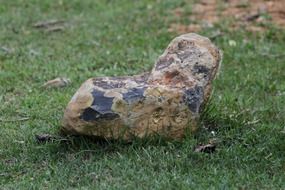 stone on green grass close up