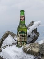 beer bottle on the rock