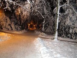 landscape of full-covered park with snow