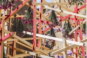 drying flowers in Gerona
