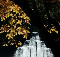 beautiful fountain among green trees