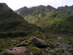 picturesque landscape in New Zealand