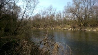 calm river in the autumn forest