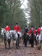 hunting horses drag