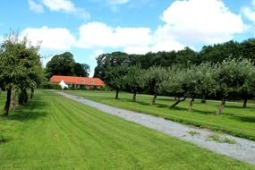 path in a picturesque park in Germany