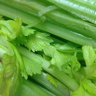 fresh celery stems