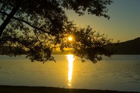 sunset behind the lake behind the tree in mattsee