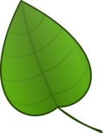 small green leaf as a drawing
