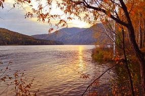 orange forest by the lake in september