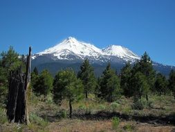 remote view of Mount Shasta Mountain on a sunny day
