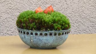 decoration green