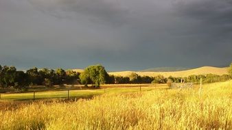 storm clouds over a field in the sun