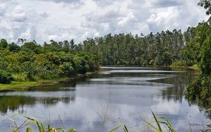 landscape lake view
