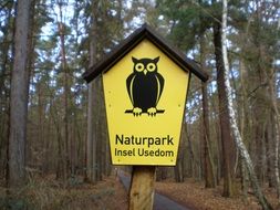 owl drawing on a yellow forest sign