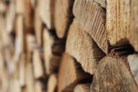 macro photo of timber like firewood
