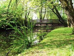 river among the banks in the park
