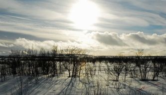 bright sun over winter landscape