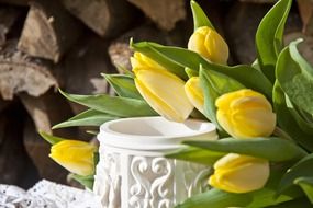 bouquet of yellow-white tulips in spring still life