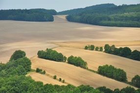 landscape of corn fields in Poland
