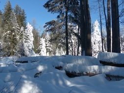 winter in the mountains of Canada