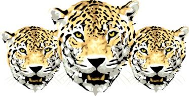 clipart of three leopard heads