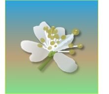 Clip art of flower