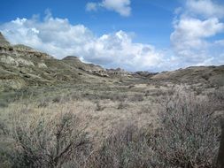 steppe with rocky hills on a sunny day