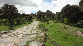 stone alley among oaks in calzada romana