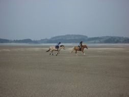 riders on the Forggensee, Germany