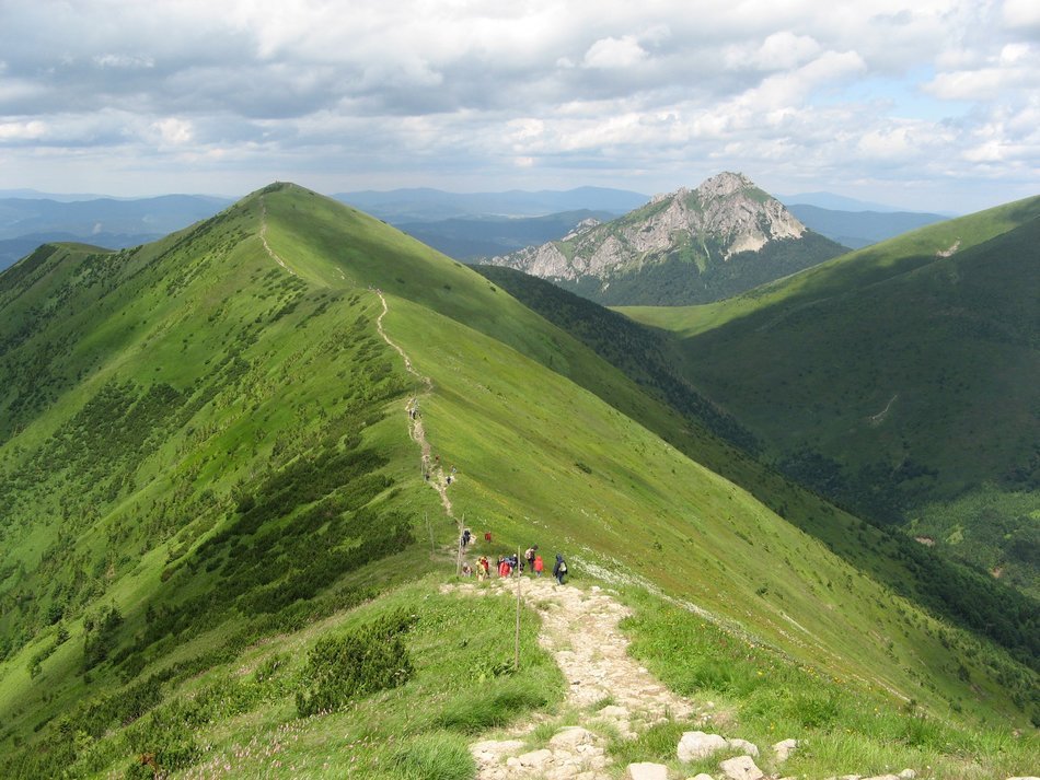 back of the ridge
