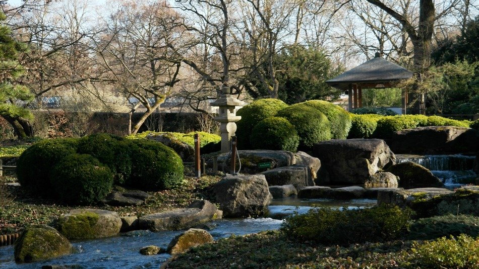 harmony of the Japanese garden