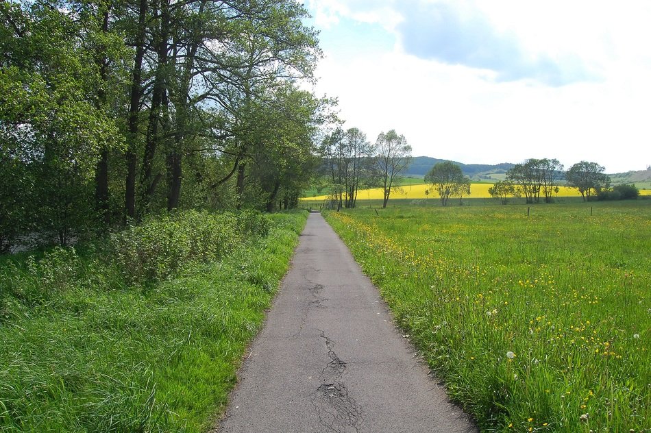 gray road along the green meadow