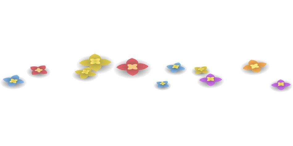 colorful blossoms on a white background